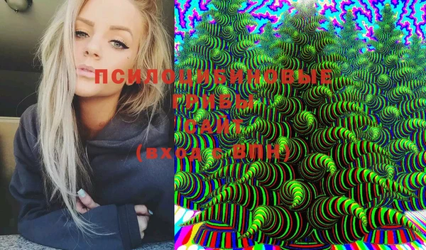 MDMA Болотное