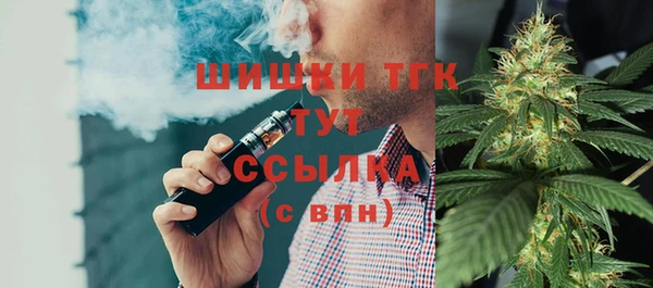 СК Новодвинск