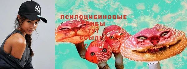 COCAINE Новозыбков