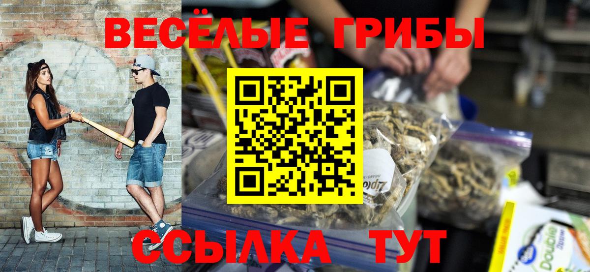 Купить наркотики цена  Марихуана  Вход с VPN  Масло THC  Бошки Шишки  Кисловодск  МЕФ  ГАШИШ  Мяу-Мяу 