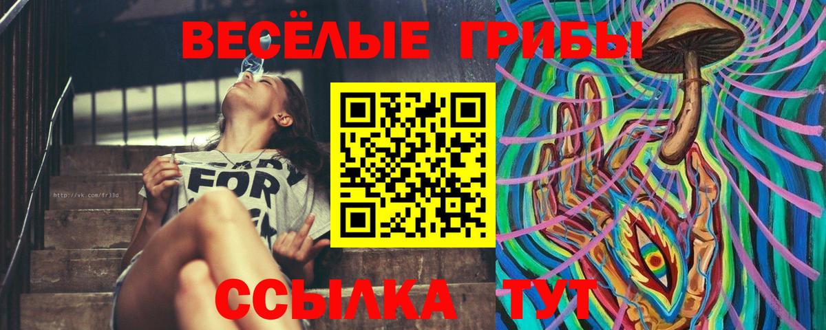 Кисловодск  купить закладку  Вход с VPN  Галлюциногенные грибы GOLDEN TEACHER  Галлюциногенные грибы Cubensis 